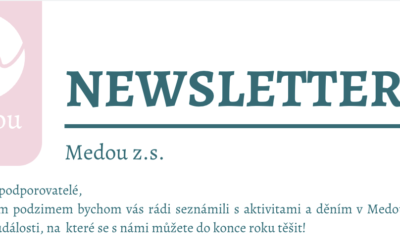 Newsletter Medou 2